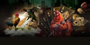 Khám Phá Cách Chơi Đá Gà GA28 Tại C54 Cực Dễ Thắng