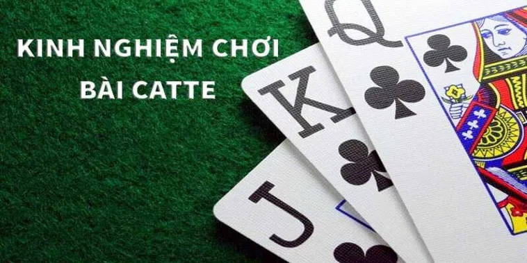 Hé Lộ Cách Chơi Sắc Tê Nhà Cái C54 Bất Bại Cho Người Mới